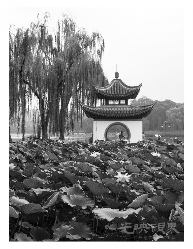 _1024605.jpg