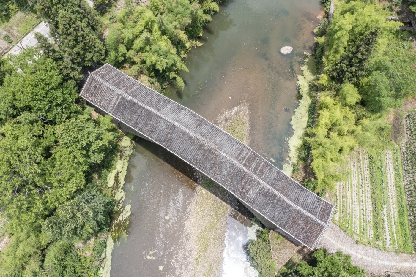 DJI_0211_1_1.JPG