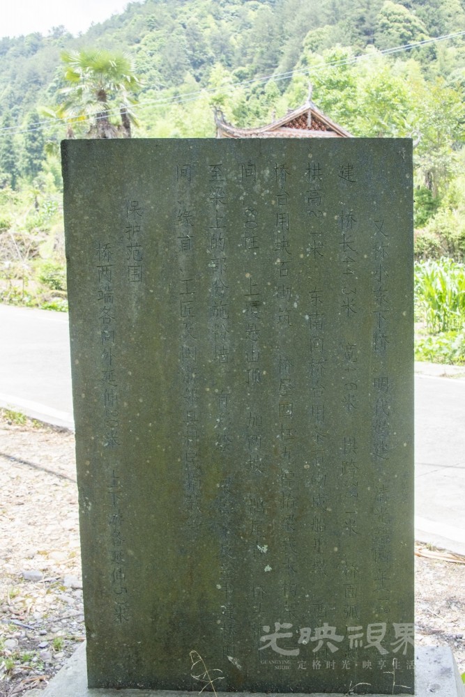 DSC_4367_1.JPG