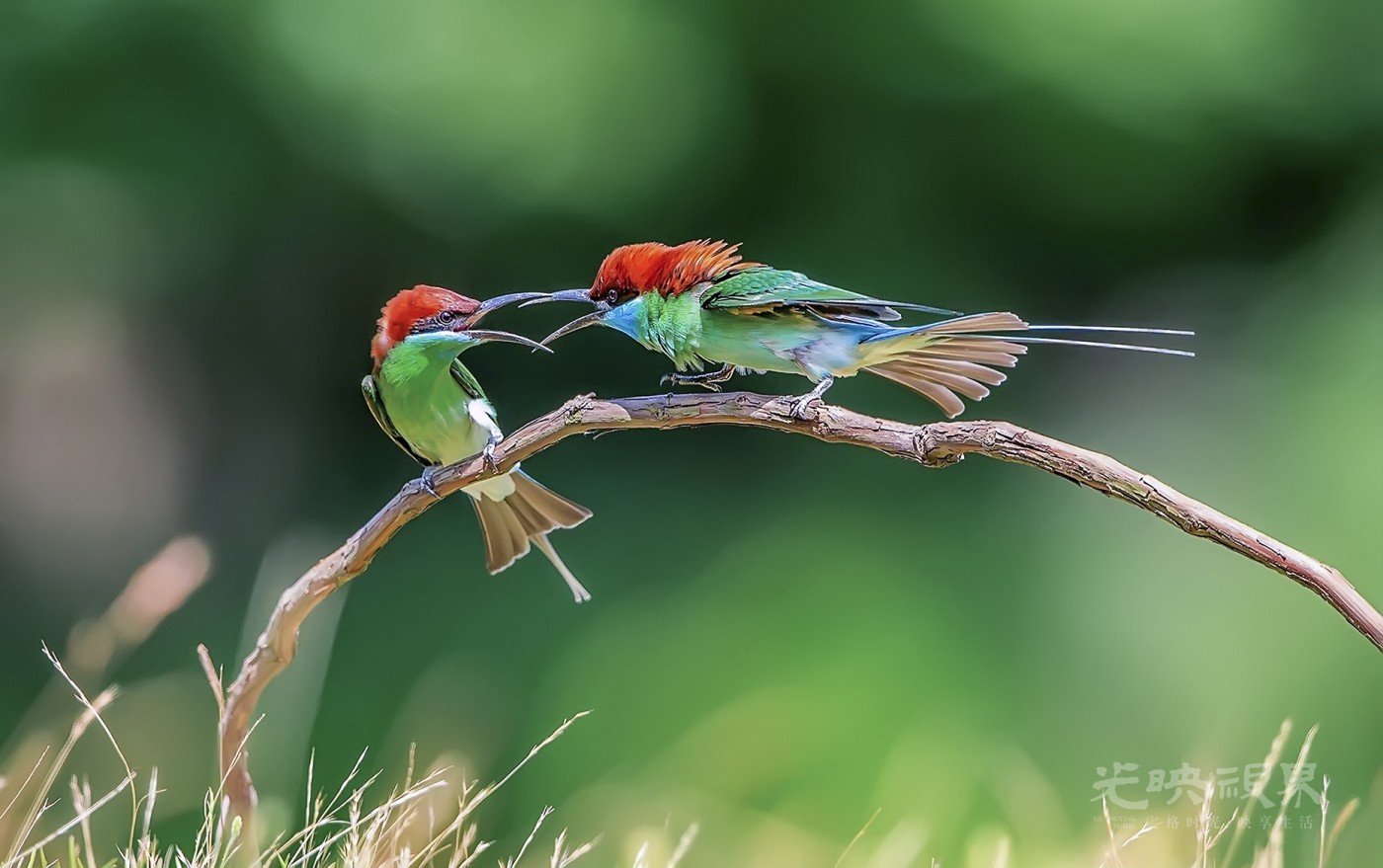 DSC_8255.jpg
