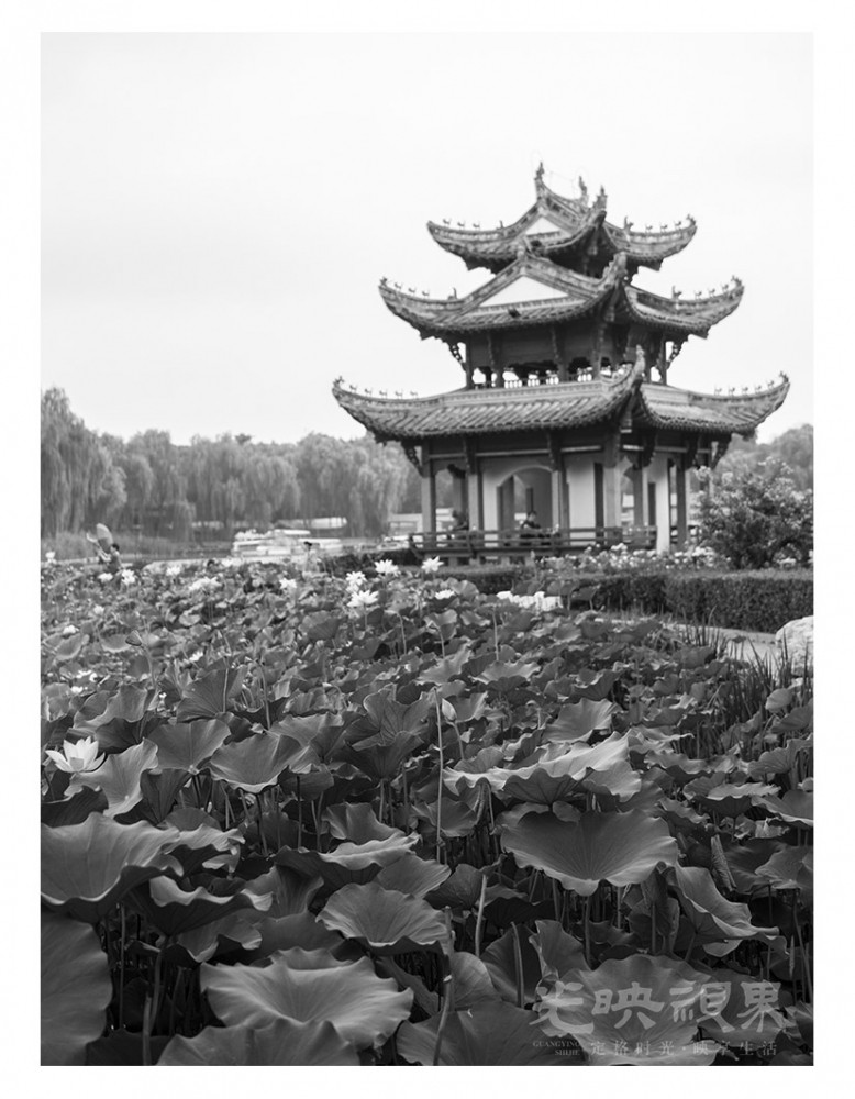 _1024600.jpg