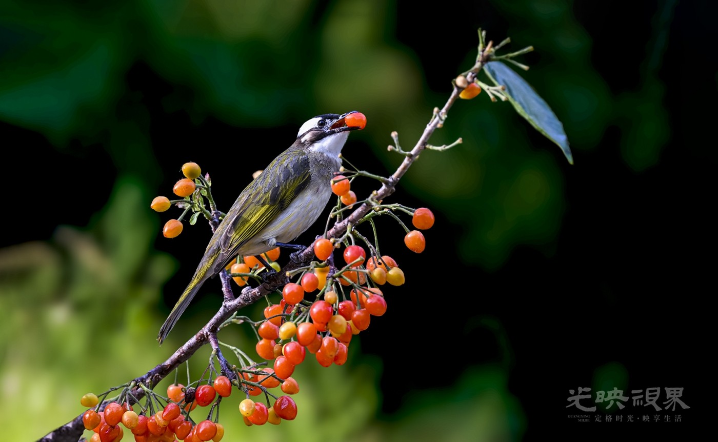 DSC_0127.jpg