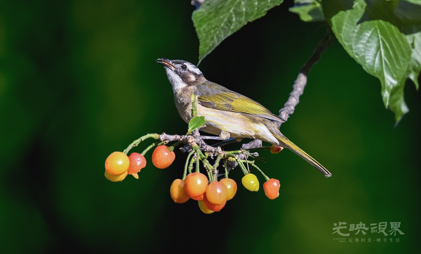 DSC_5169.jpg