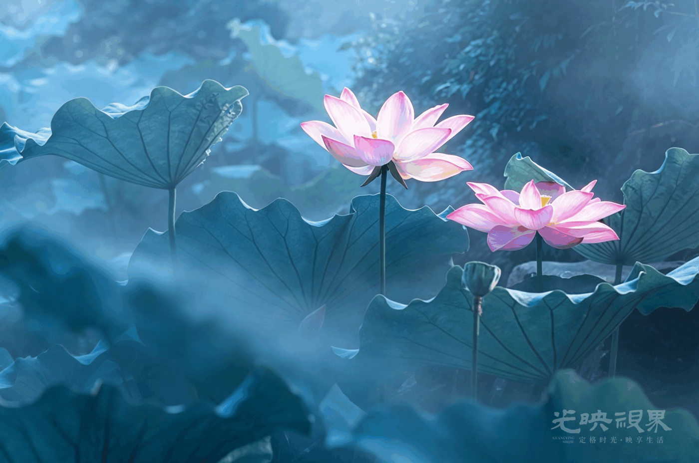 hehua- (22).png