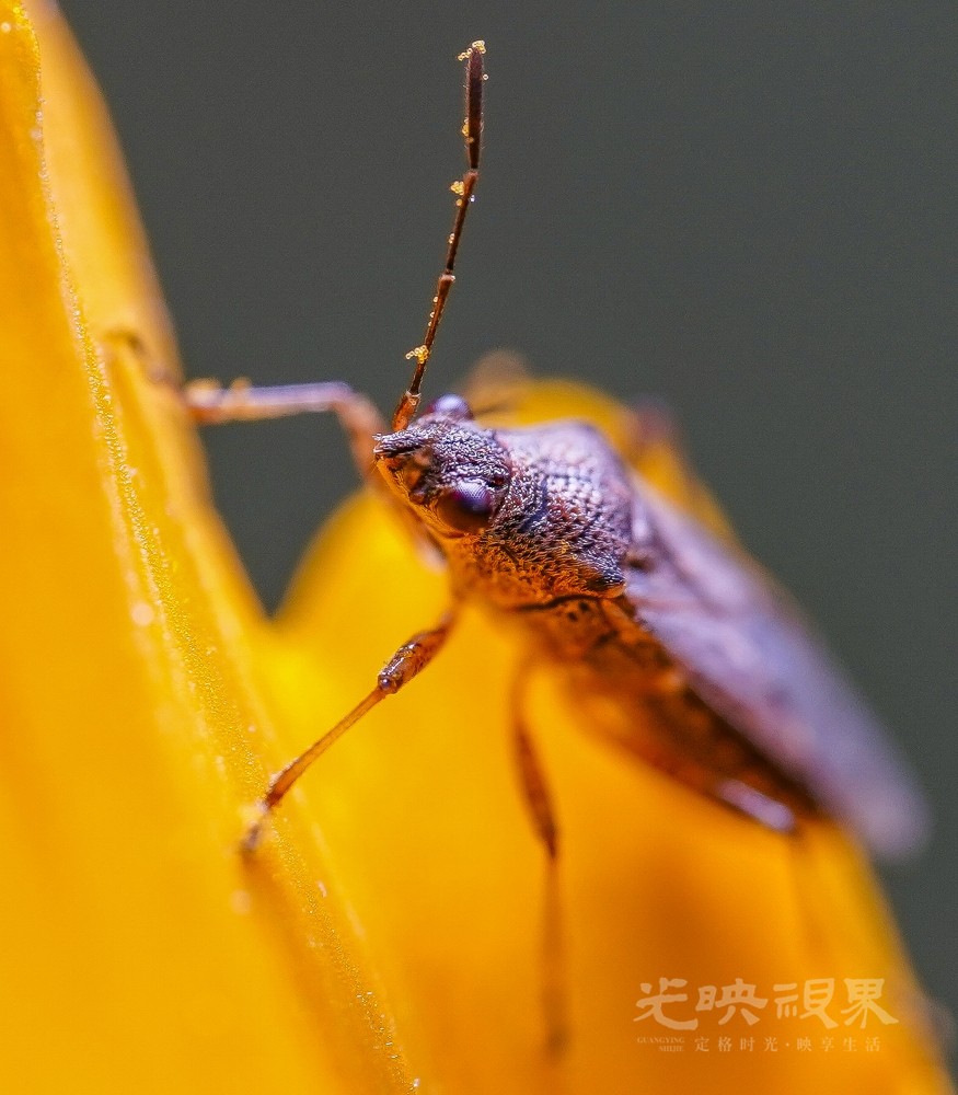 DXA03645(1).jpg