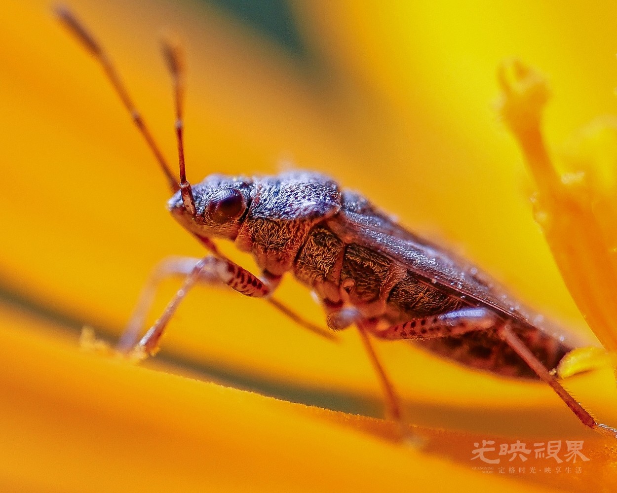 DXA03679(1).jpg