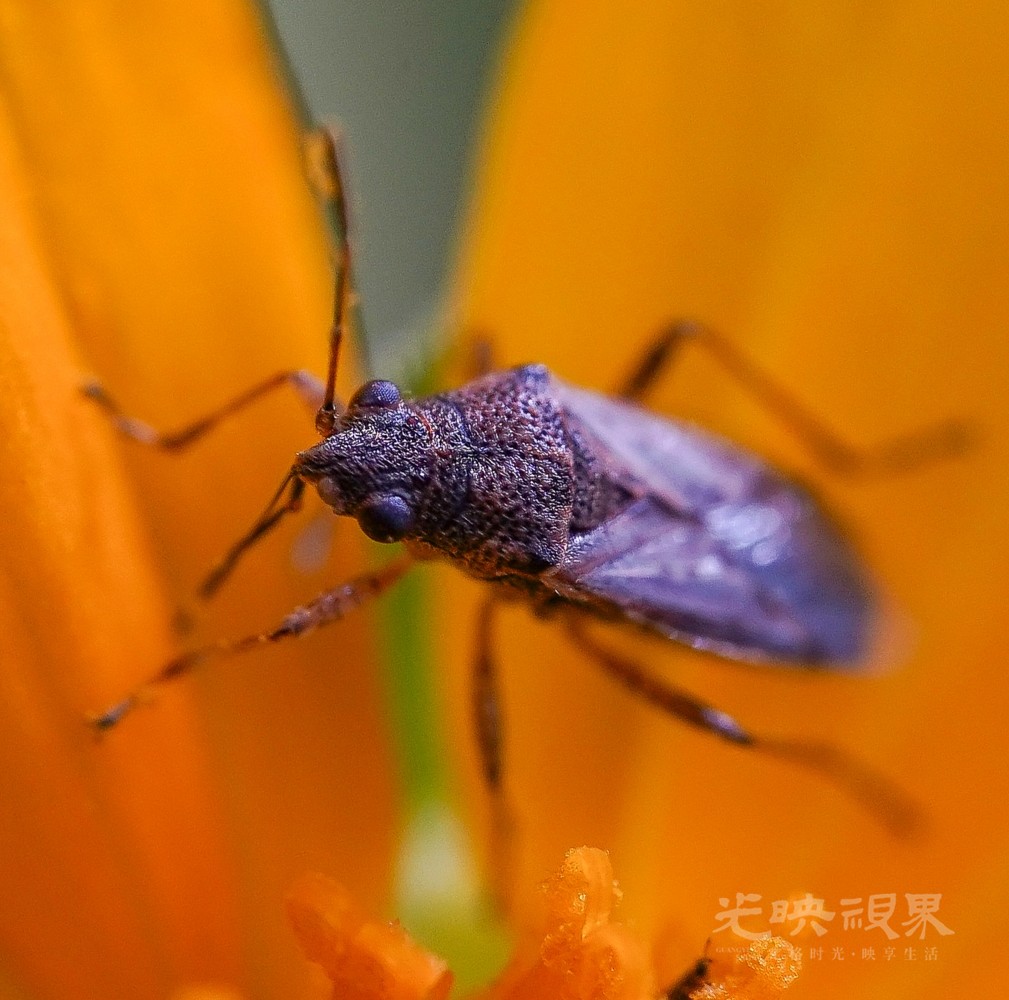 DXA03732(1).jpg