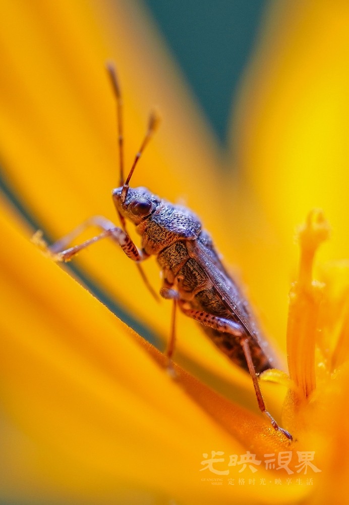 DXA03750(1).jpg