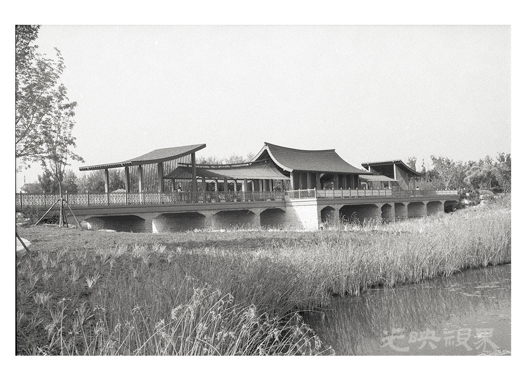 湿地4