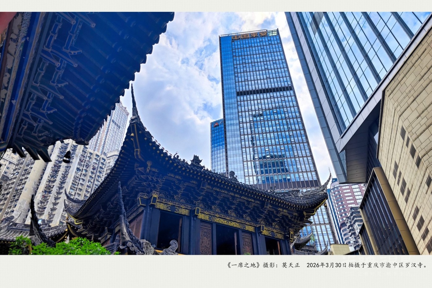 IMG_20260330_142132_副本_副本.jpg