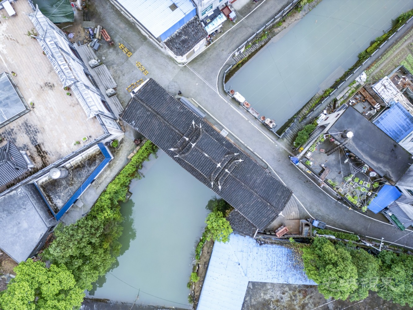DJI_0910_1.JPG