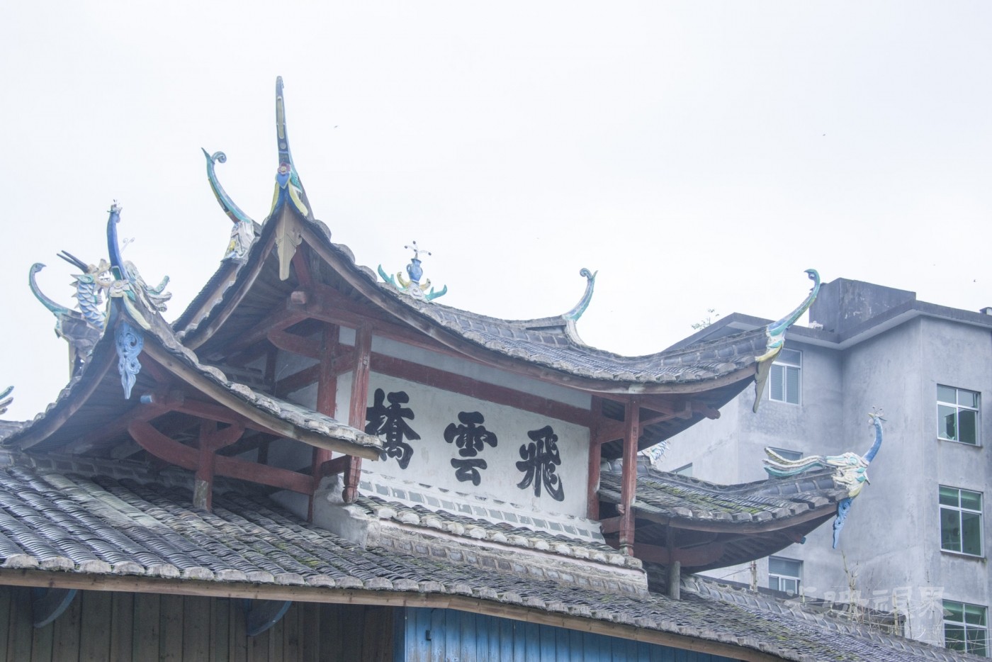 DSC_2519_1.JPG