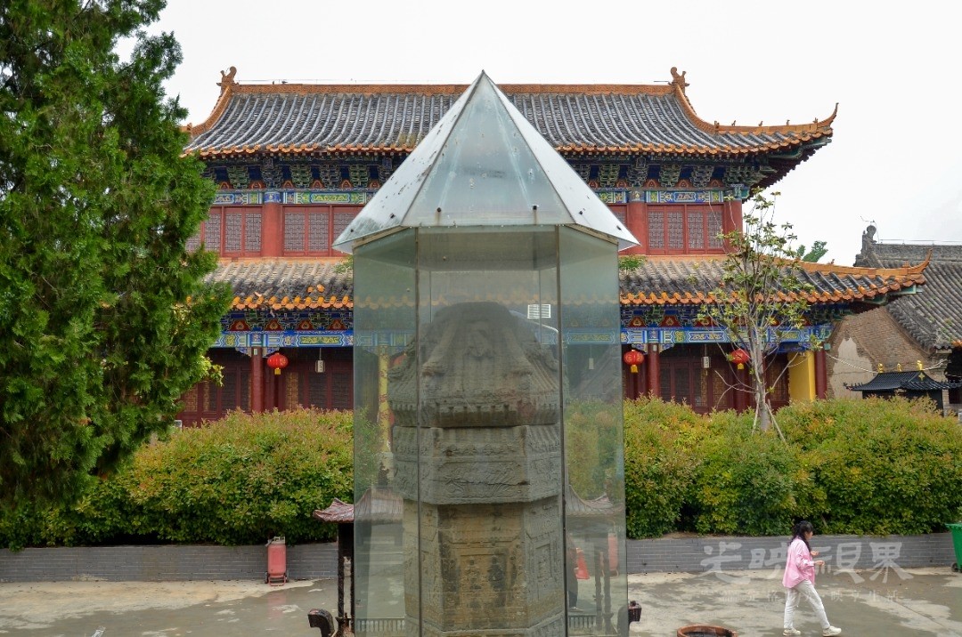 mmexport1786346112583.jpg