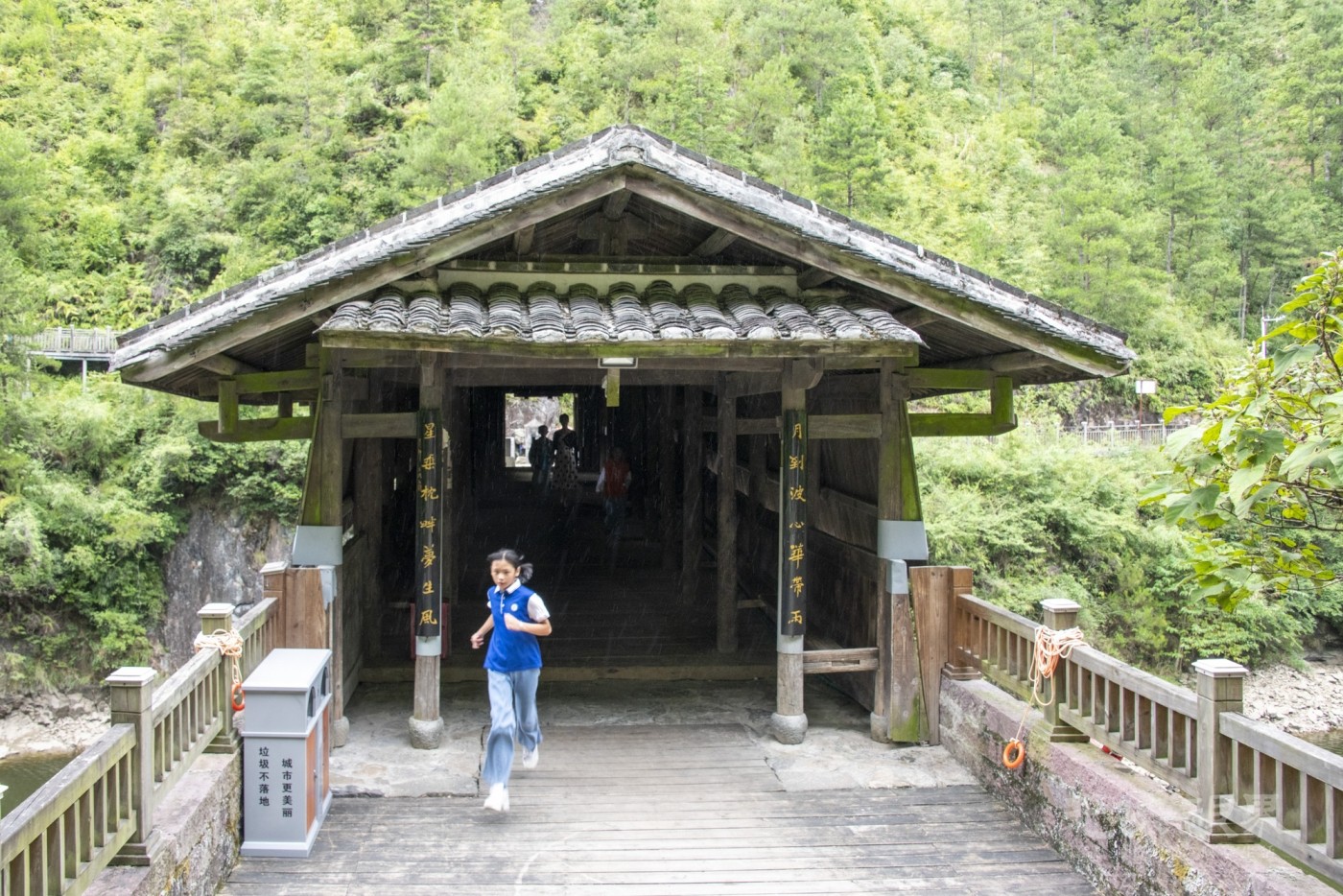 DSC_9308_1.JPG