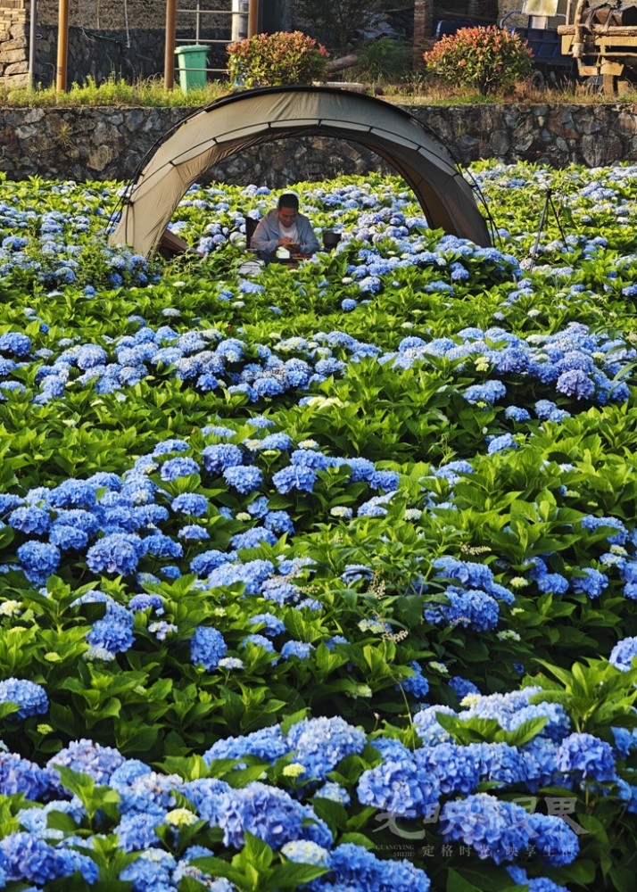 绣山花谷风情041024.jpg