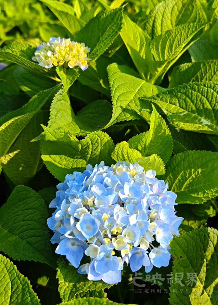 绣山花谷风情0111024.jpg