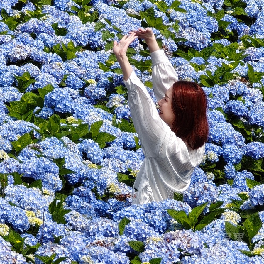 绣山花谷018900.jpg