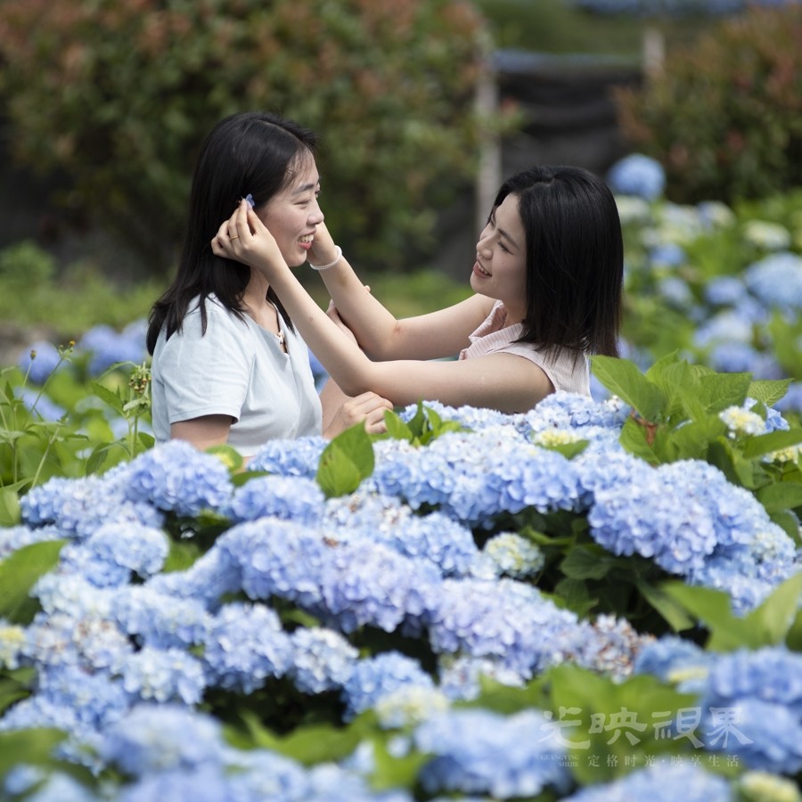 花海掠影01900.jpg