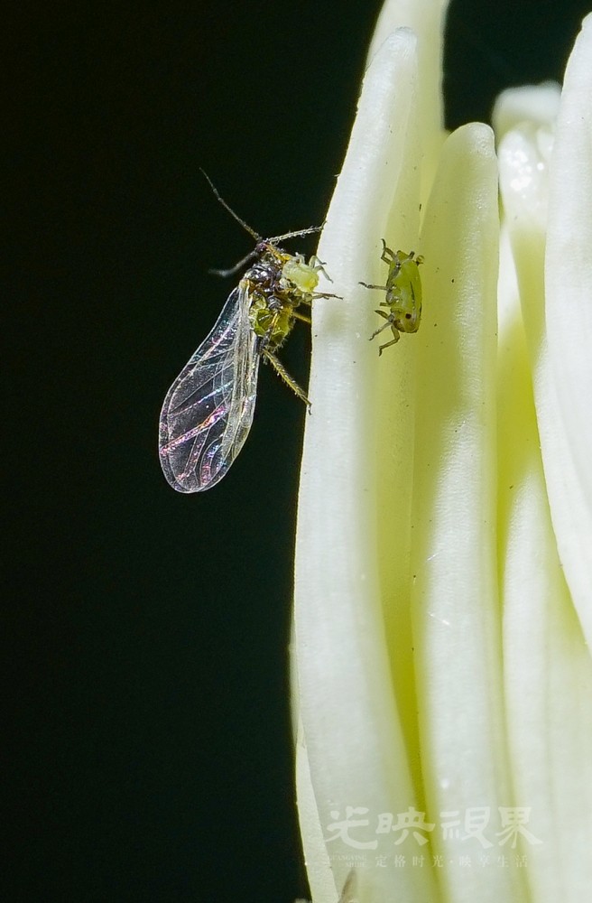 DXA08484.jpg