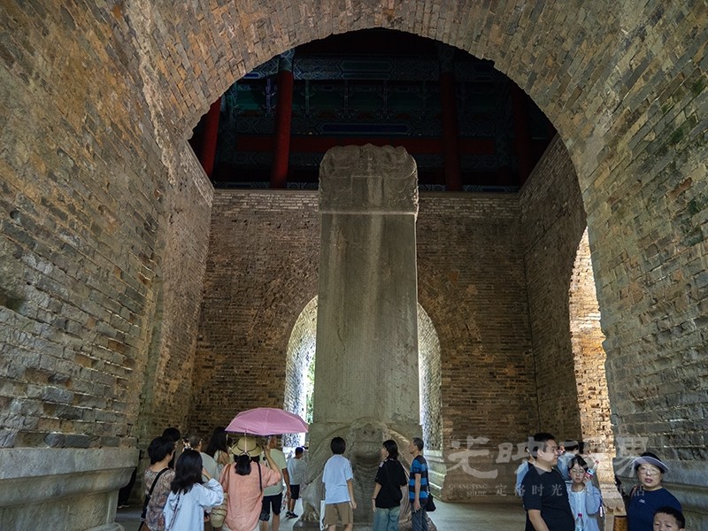 P1010354.jpg