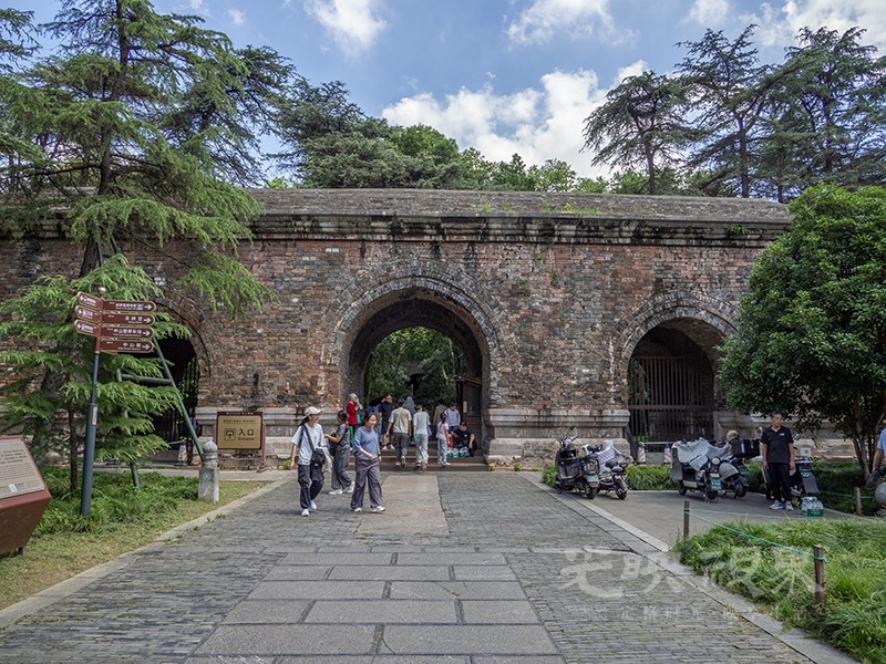 P1010359.jpg