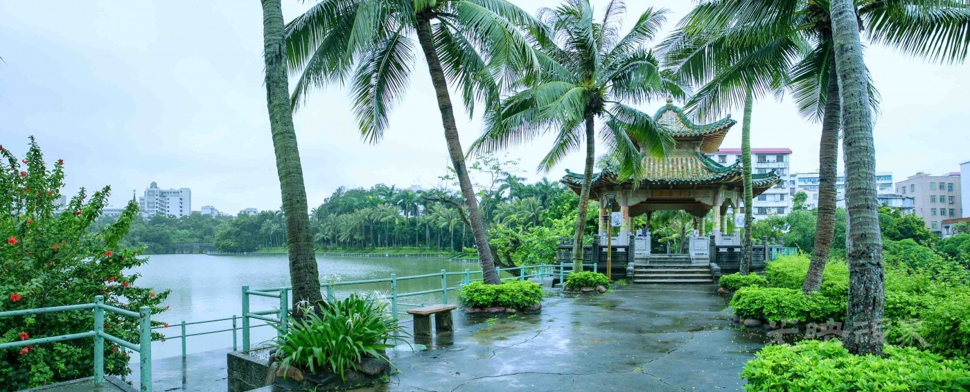 20180723湛江寸金公园003.jpg