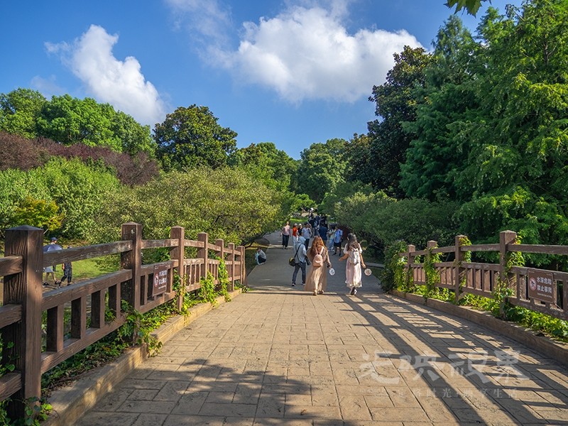 P1010258.jpg