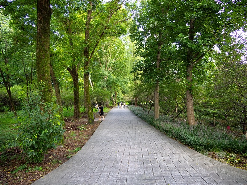 P1010265.jpg