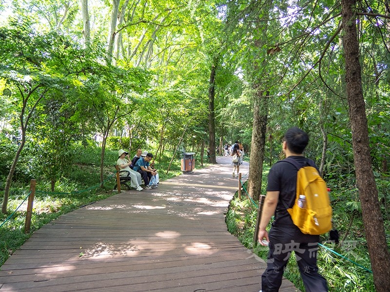 P1010367.jpg