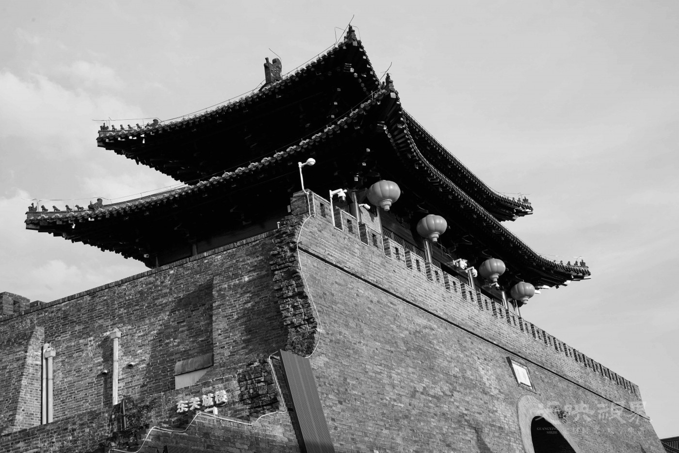 DXA09240.JPG
