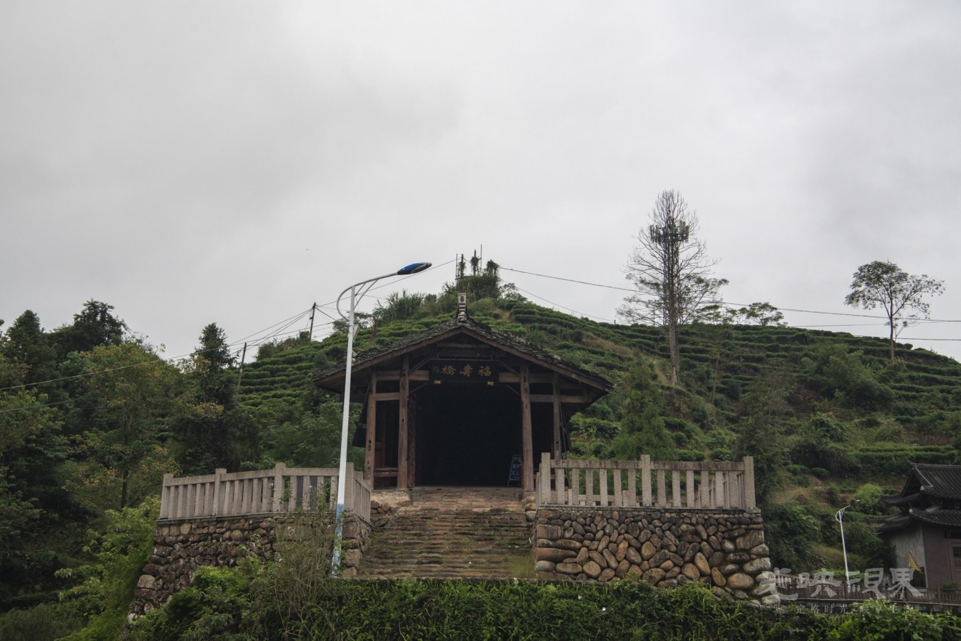 DSC_8987_1.JPG