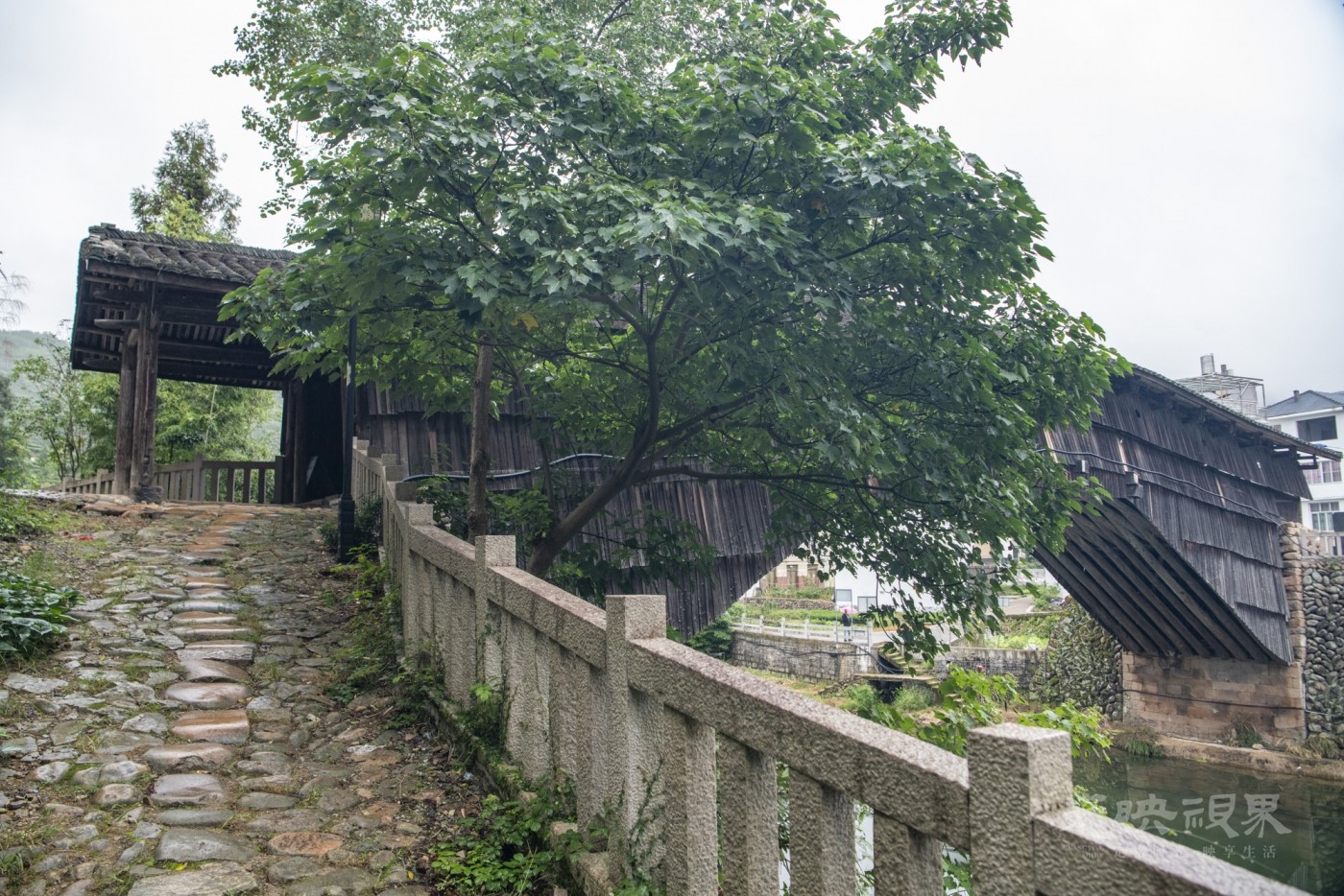 DSC_9000_1.JPG