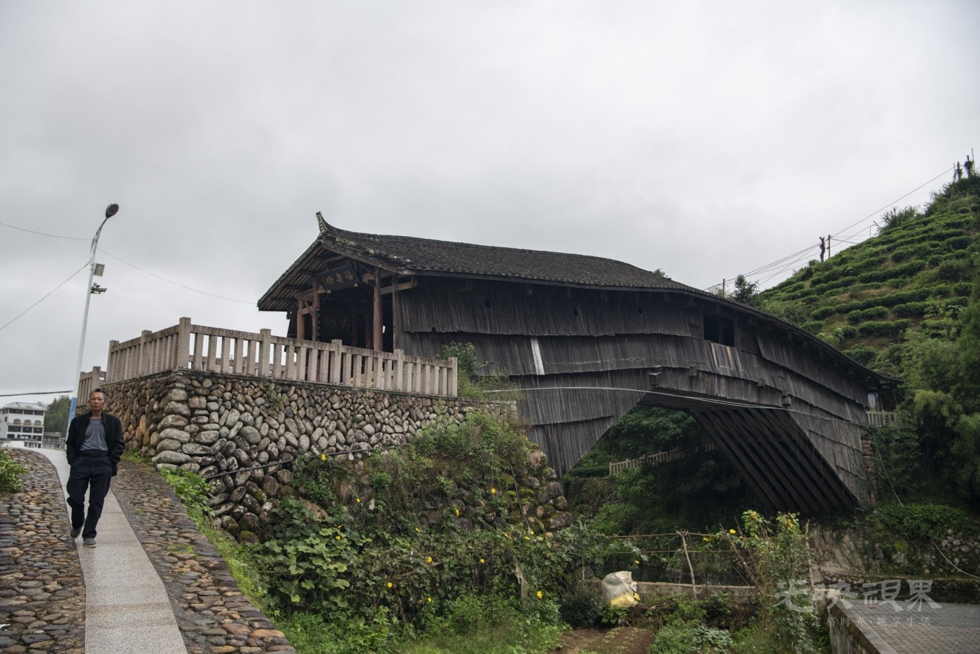 DSC_9006_1.JPG