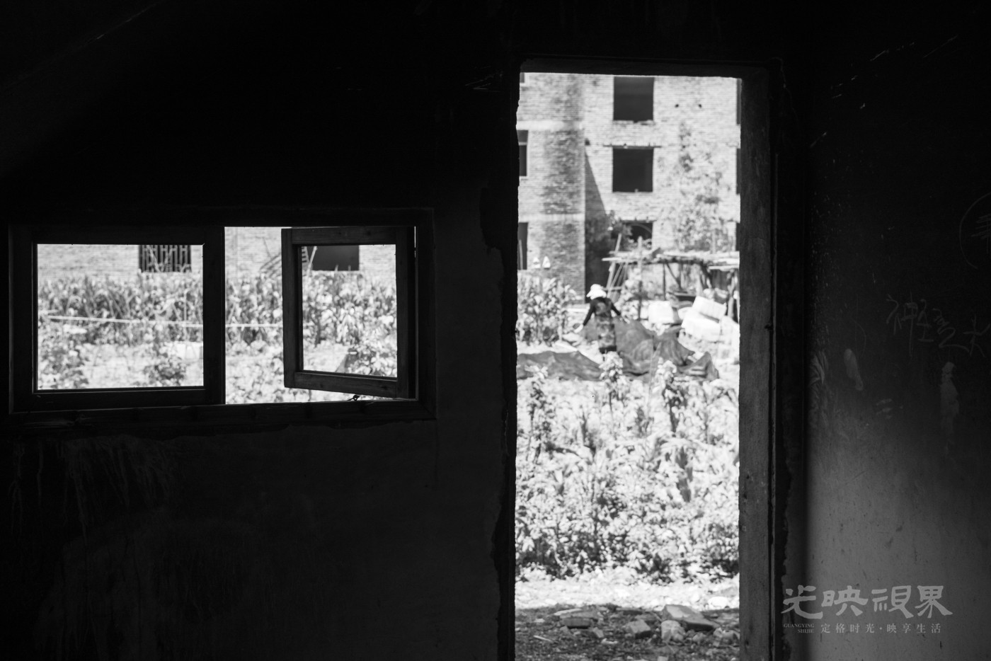 DSC_1664_1_1.JPG