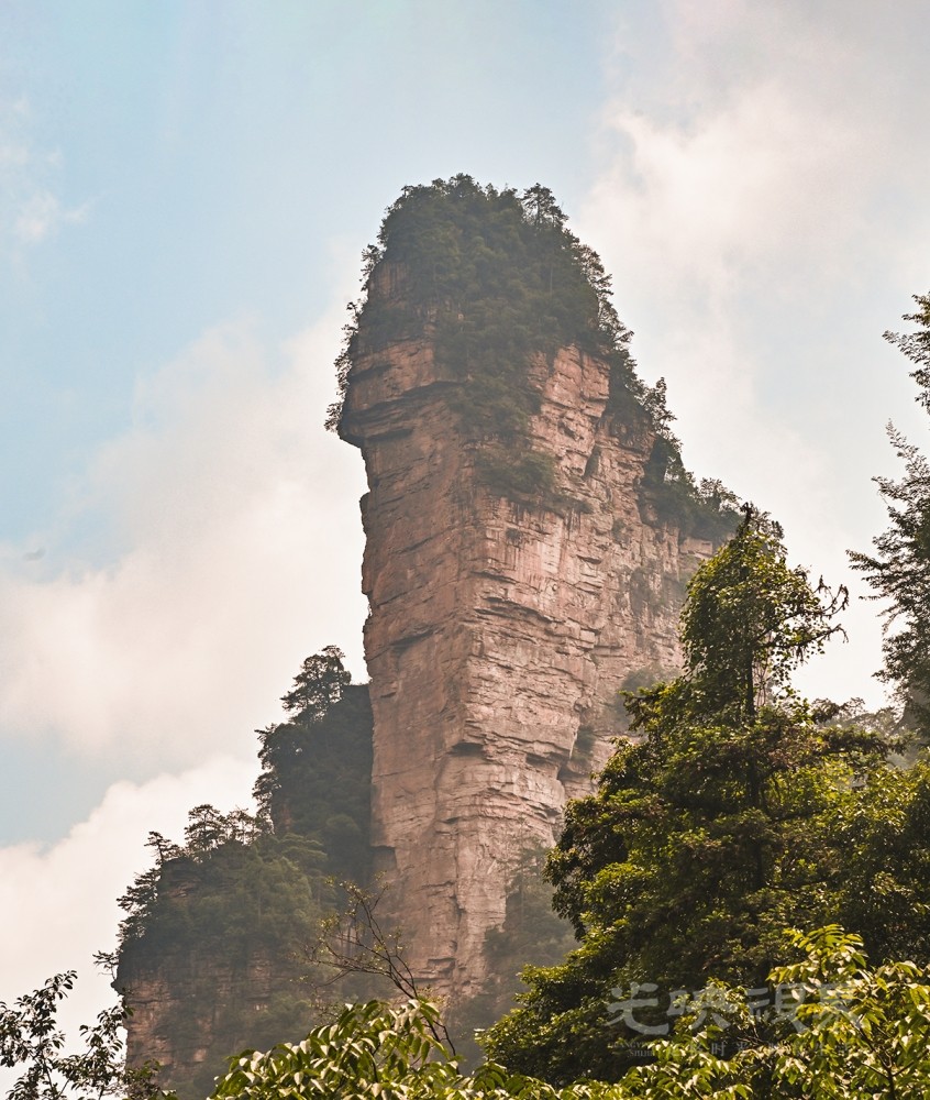 DSC_0215.jpg