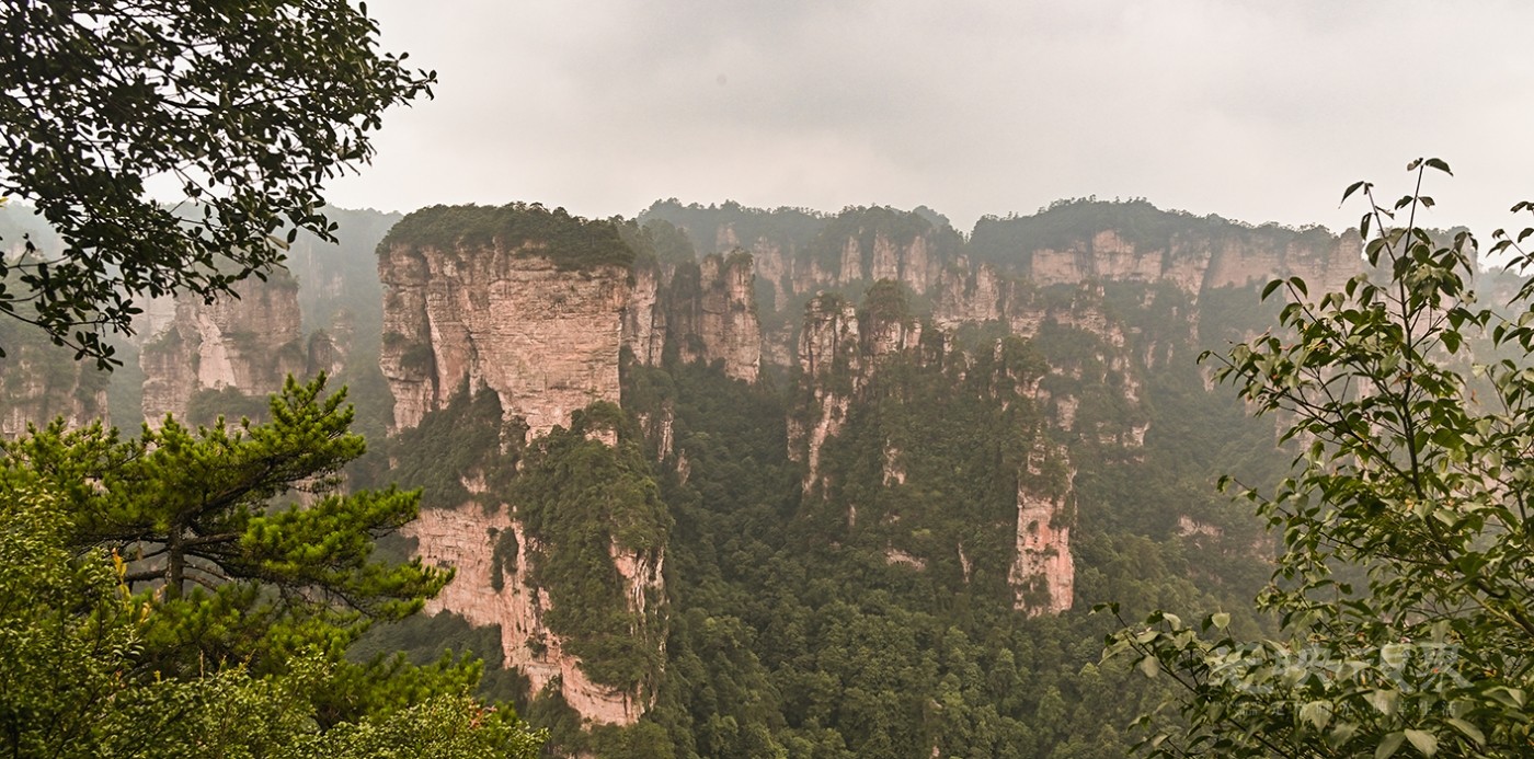 DSC_0178.jpg