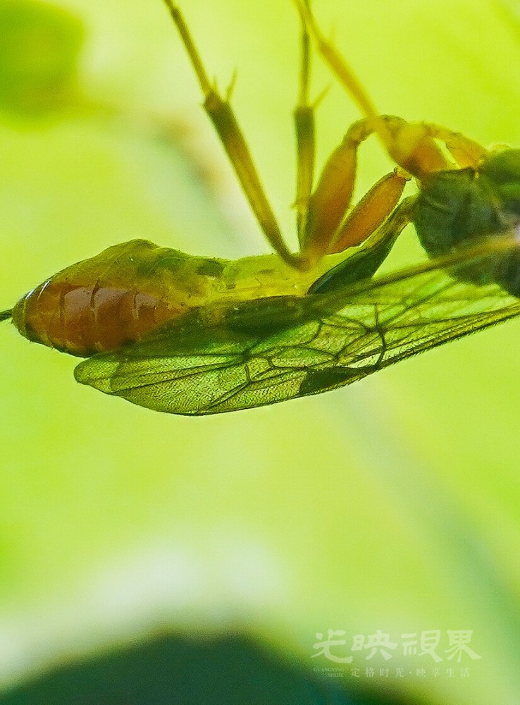DXA08956.jpg