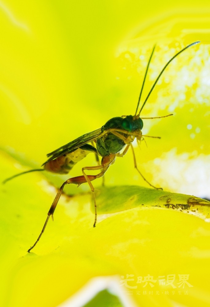 DXA08960.jpg