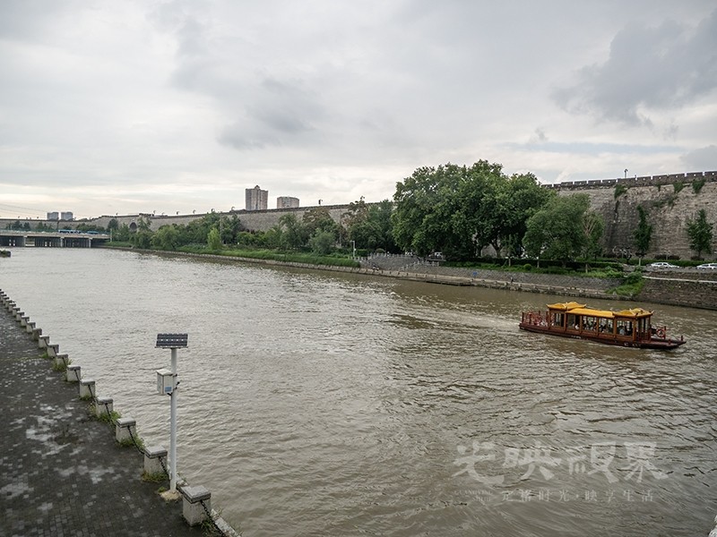 P8150230.jpg