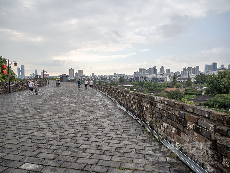 P8150232.jpg