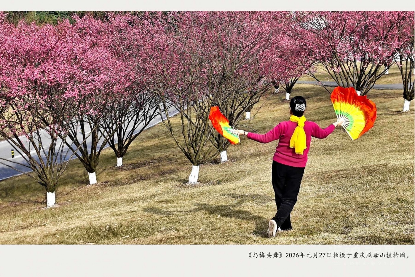 IMG_20260127_112133_副本_副本_副本.jpg