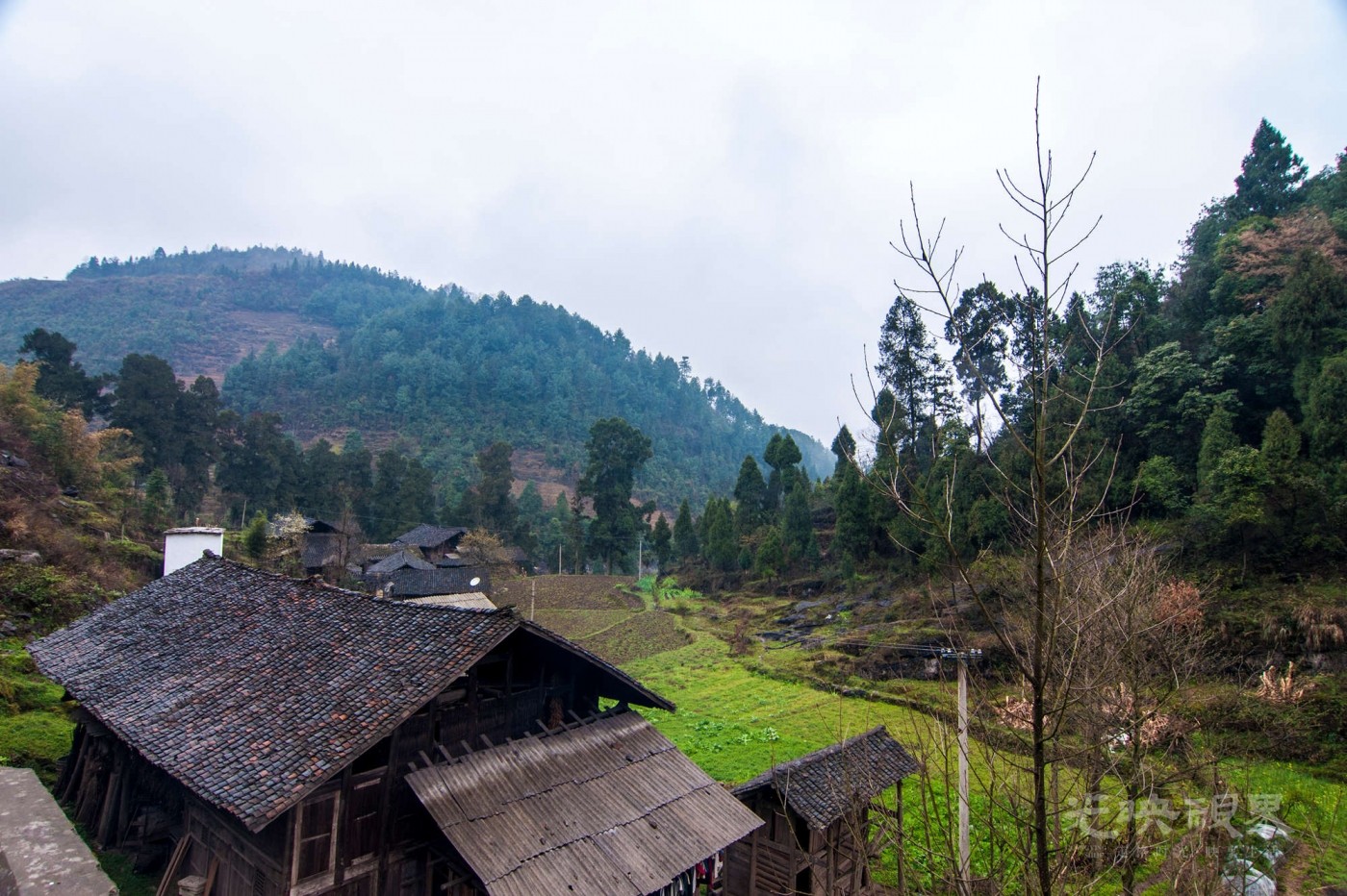 _DSC8790.jpg