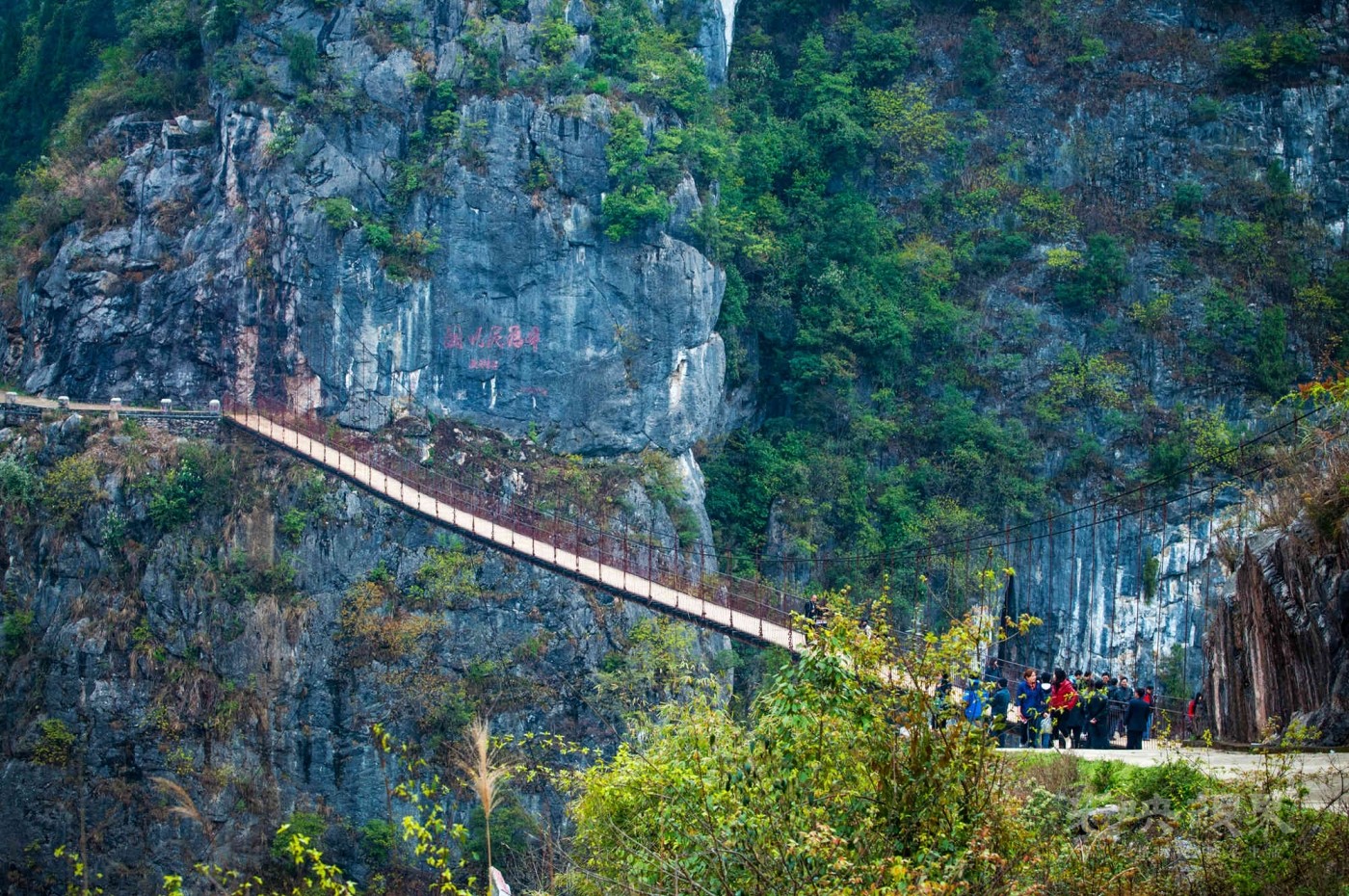 _DSC2502.jpg