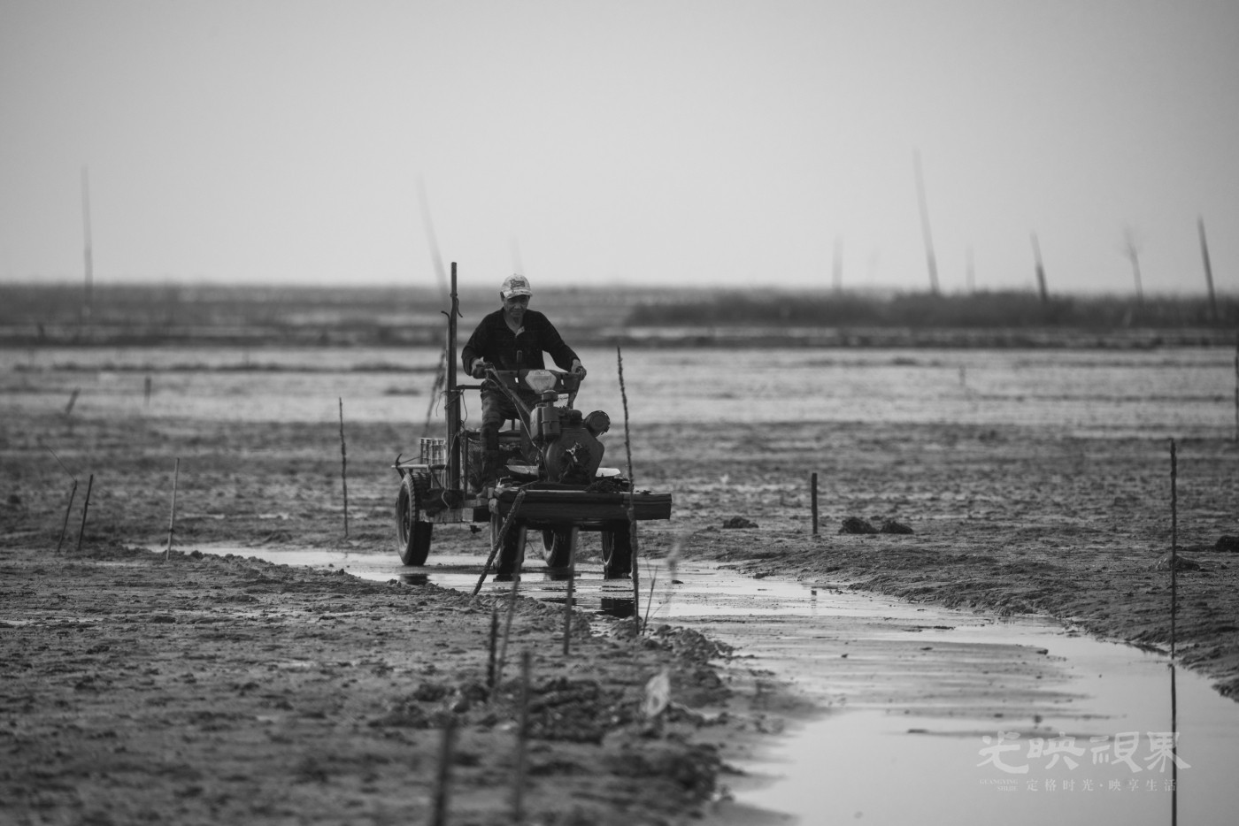 _DSC3926_1_2.JPG