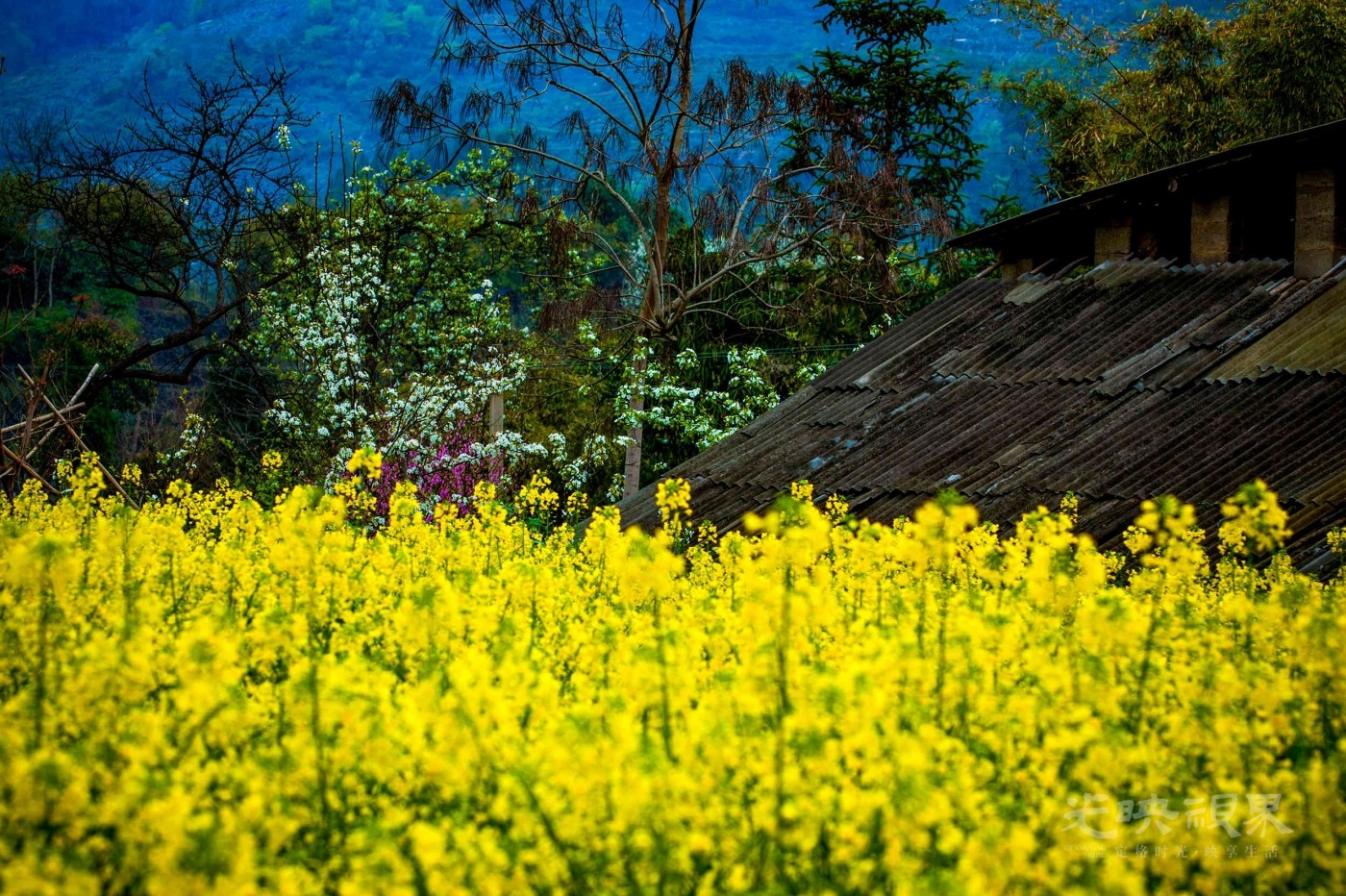 _DSC8322.jpg