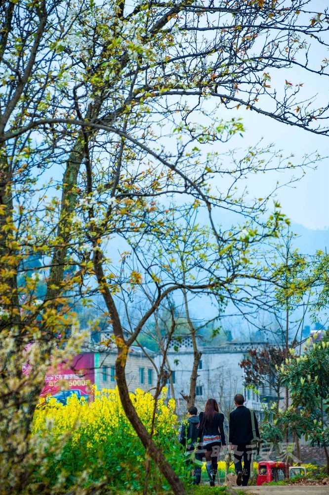 _DSC86903.jpg