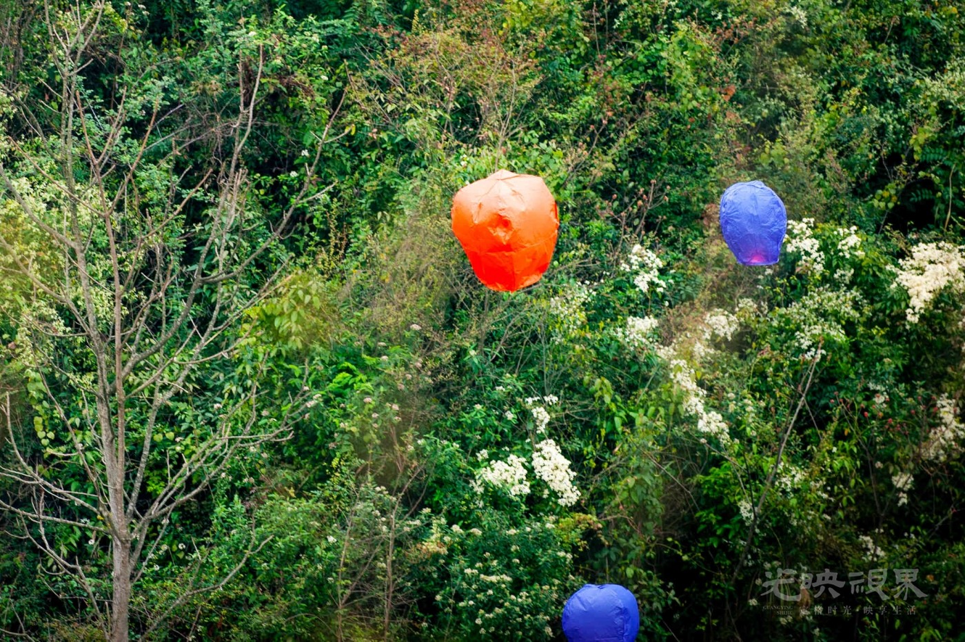 _DSC8465.jpg