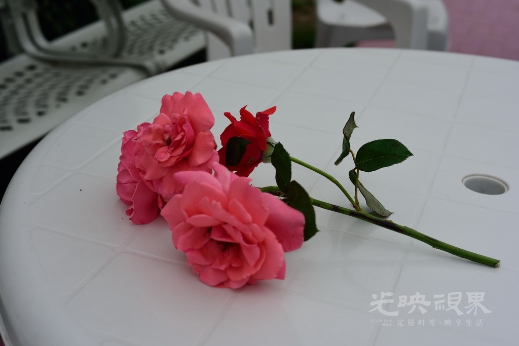 DSC_8210.jpg
