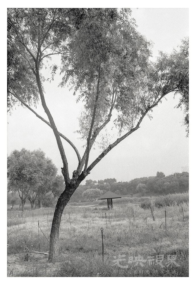 Untitled (23).jpg