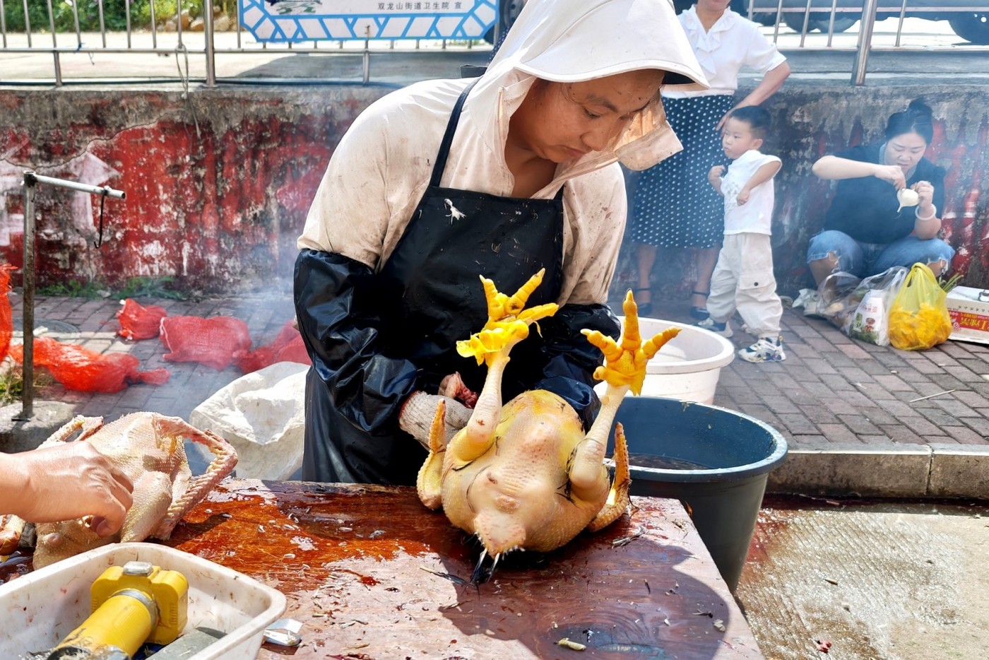 IMG_20260814_095923_副本.jpg